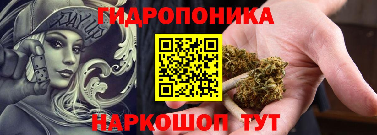 Каннабис индика  Марихуана LSD WEED  Бошки Шишки AK-47  Северск  Вход с VPN 